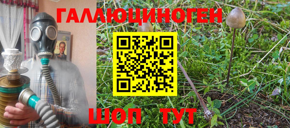 Галлюциногенные грибы Magic Shrooms  Вход с VPN  Южноуральск  Псилоцибиновые грибы Psilocybine cubensis 