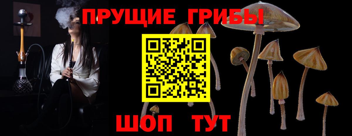 Галлюциногенные грибы Cubensis Южноуральск